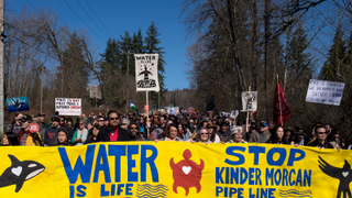 Activists Score a Victory as Canada's Biggest Pipeline Project Goes on Hold
